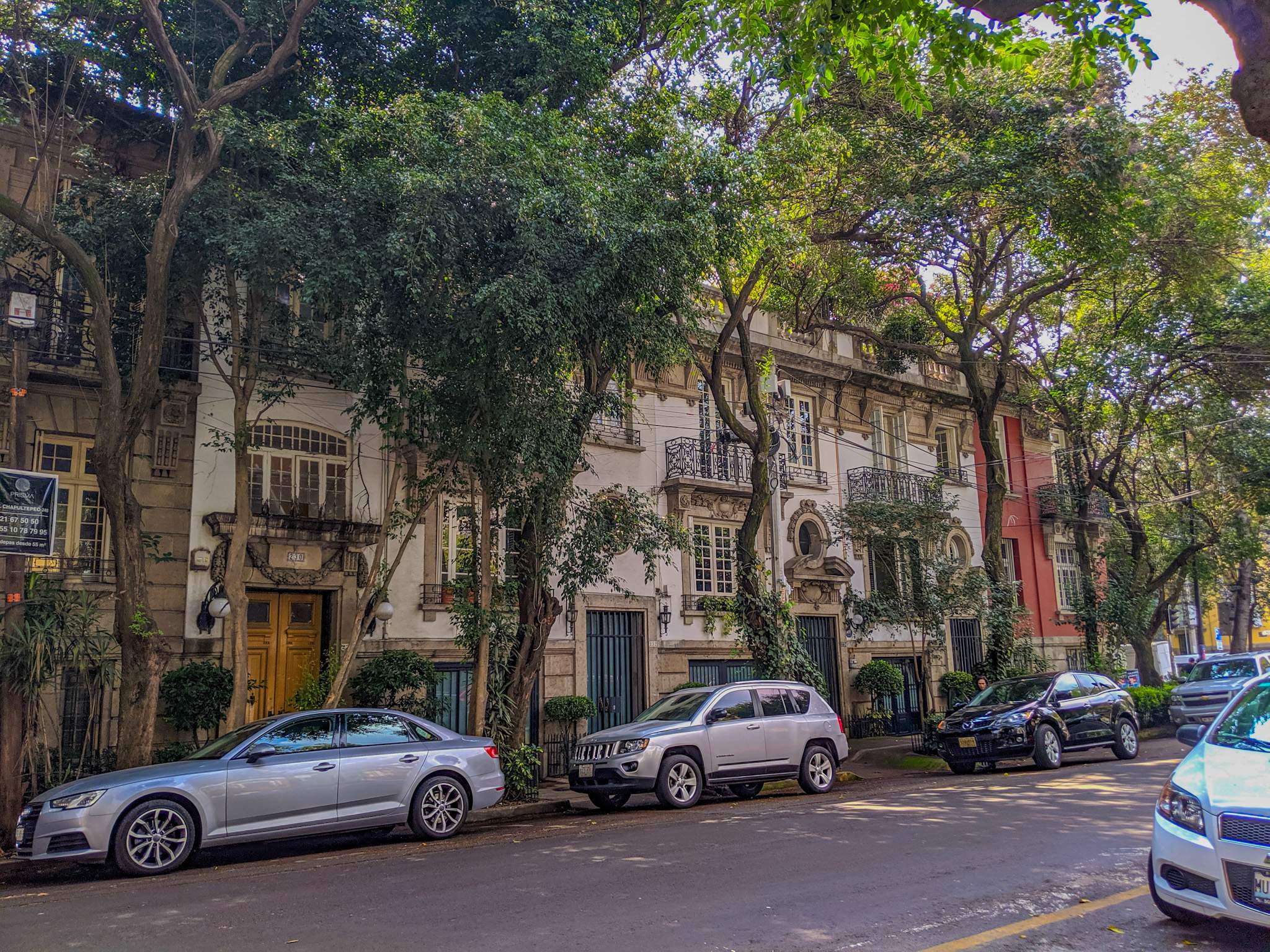travel-guide-to-mexico-city-6-trendy-neighbourhoods-to-explore-the